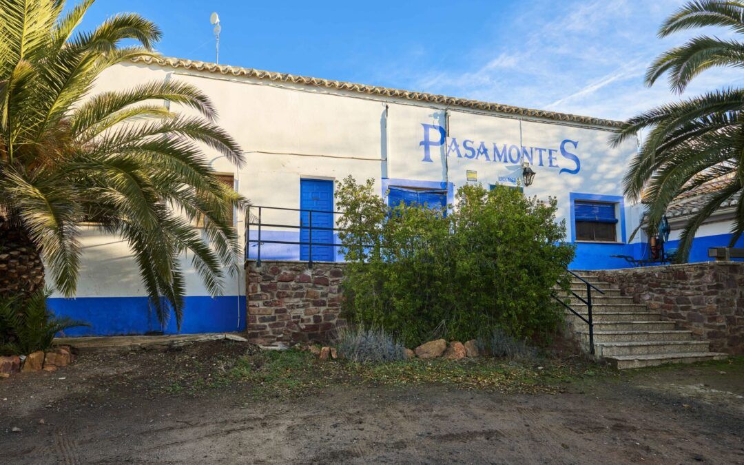 Pasamontes